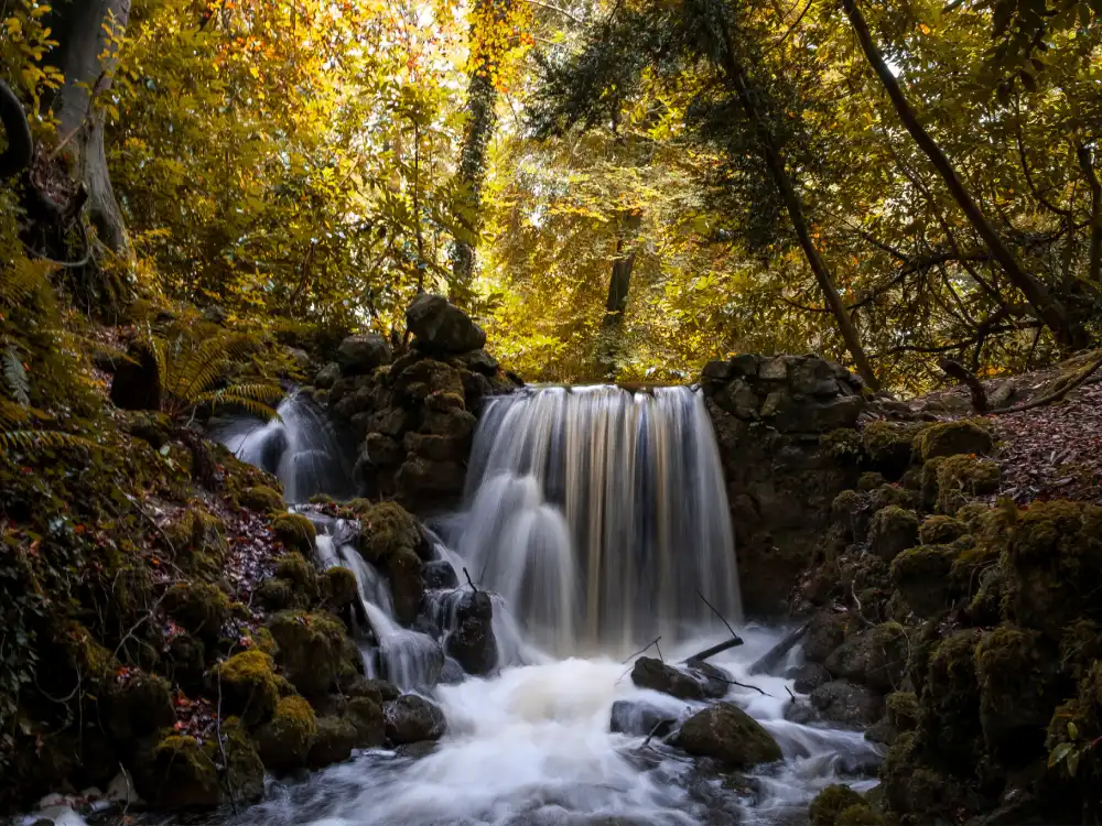 A long-exposure photograph of the cascade on the River Camcor inside the Birr Castle Demesne, autumn beech leaves above the mossy rocks