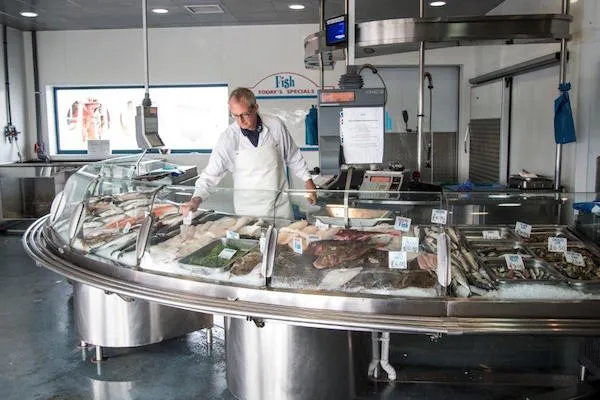 Fresh fish counter at BN Fish Supplies