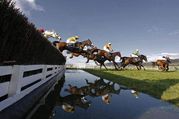 Cheltenham Racecourse — National Hunt horses jumping a fence at the water