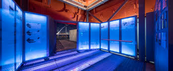Inside the restored Diving Bell exhibition beneath the raised bell on Sir John Rogerson's Quay — blue-lit display panels and an interpretive walkway showing the original interior of the working chamber