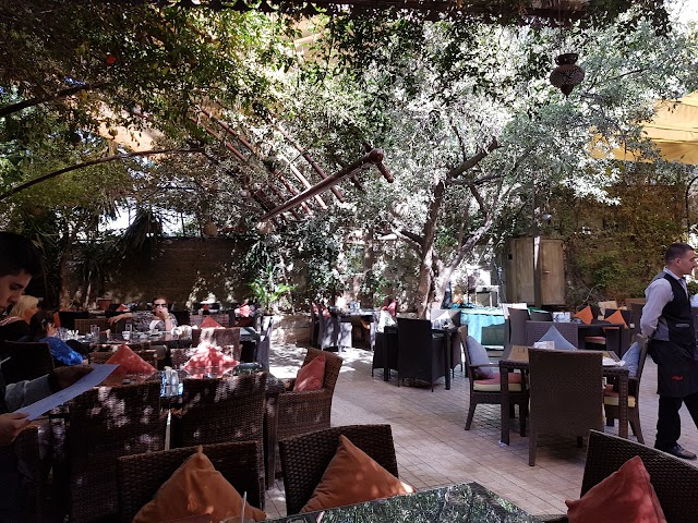 Mijana — tree-canopied garden seating with rattan chairs and orange cushions under olive trees