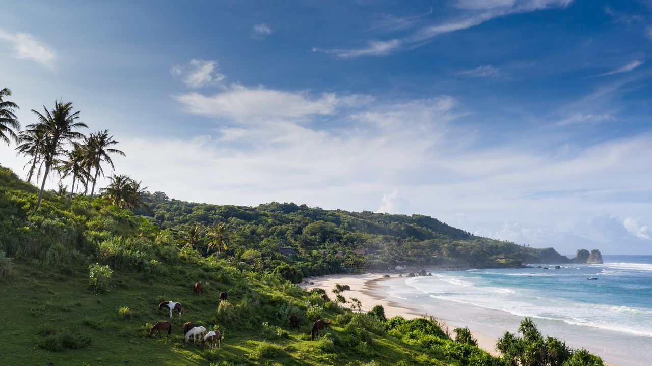 Nihi Sumba coastline panorama