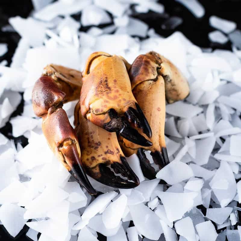 Fresh crab claws from Shoreham