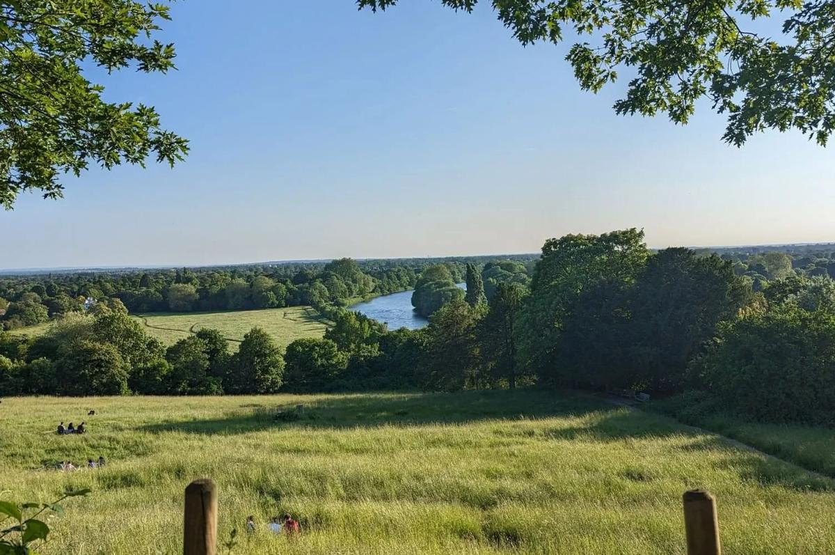 The protected view from Richmond Hill over the Thames, Petersham Meadows and Glover's Island in early morning light